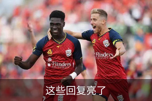这些回复亮了